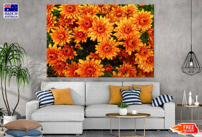 Orange Chrysanthemum Flowers View Photograph Print 100% Australian Made