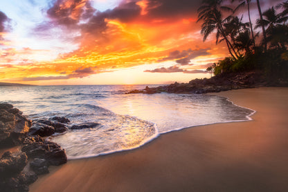 Sea & Palm Trees Sunset View Photograph Print 100% Australian Made