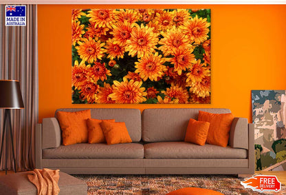 Orange Chrysanthemum Flowers View Photograph Print 100% Australian Made