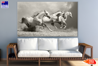 Horses Running on Sand Ground Photograph Print 100% Australian Made