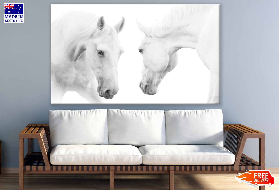 White Horses Portrait Photograph Print 100% Australian Made