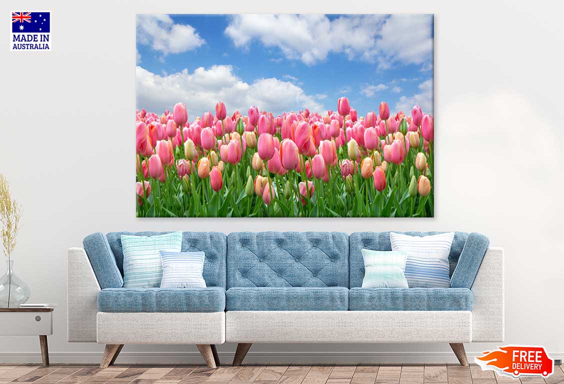 Pink Tulip Field Under Blue Sky Photograph Print 100% Australian Made