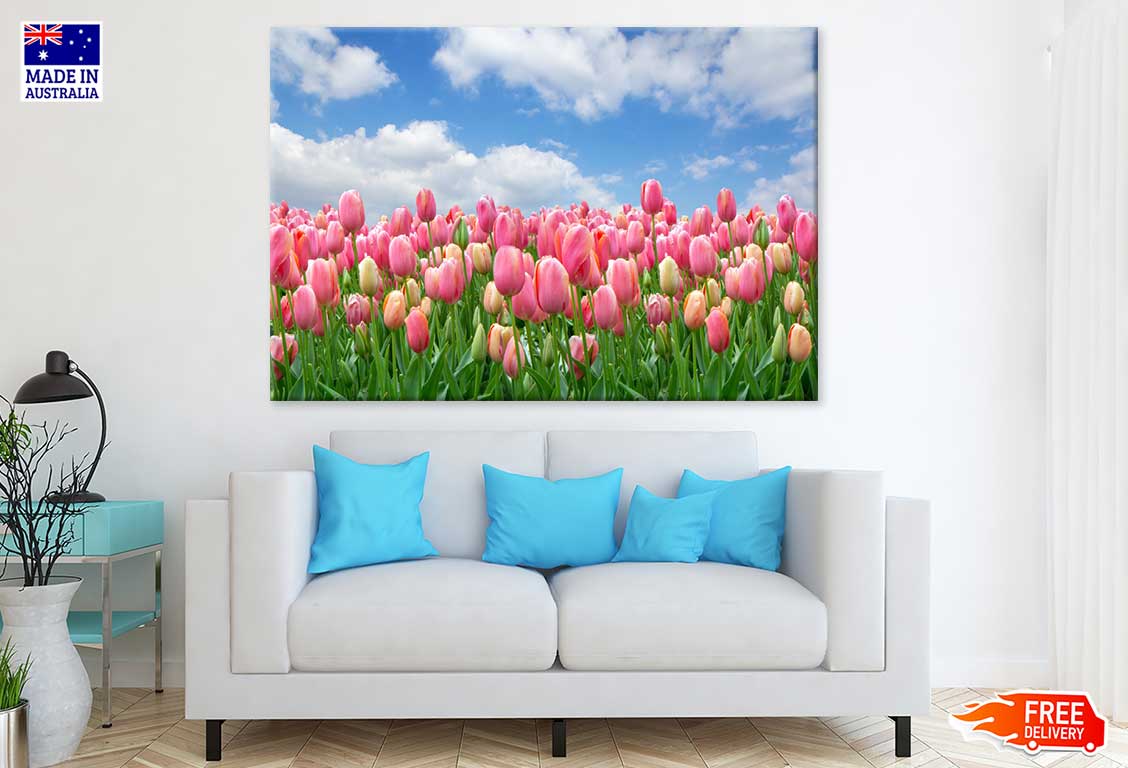 Pink Tulip Field Under Blue Sky Photograph Print 100% Australian Made