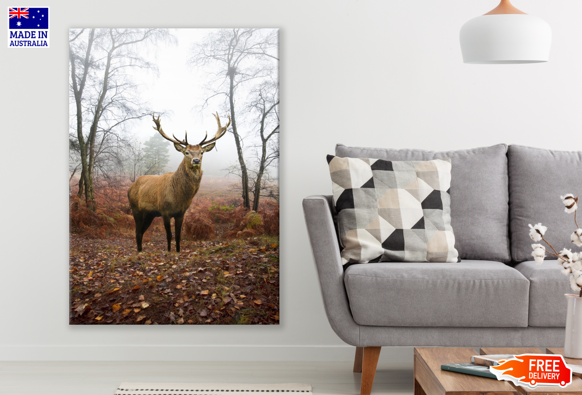 Red Deer in the Autumn Forest Photograph Print 100% Australian Made