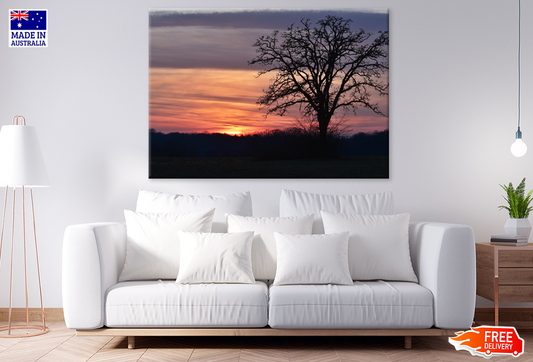 Trees & Forest Sunset Scenery Print 100% Australian Made