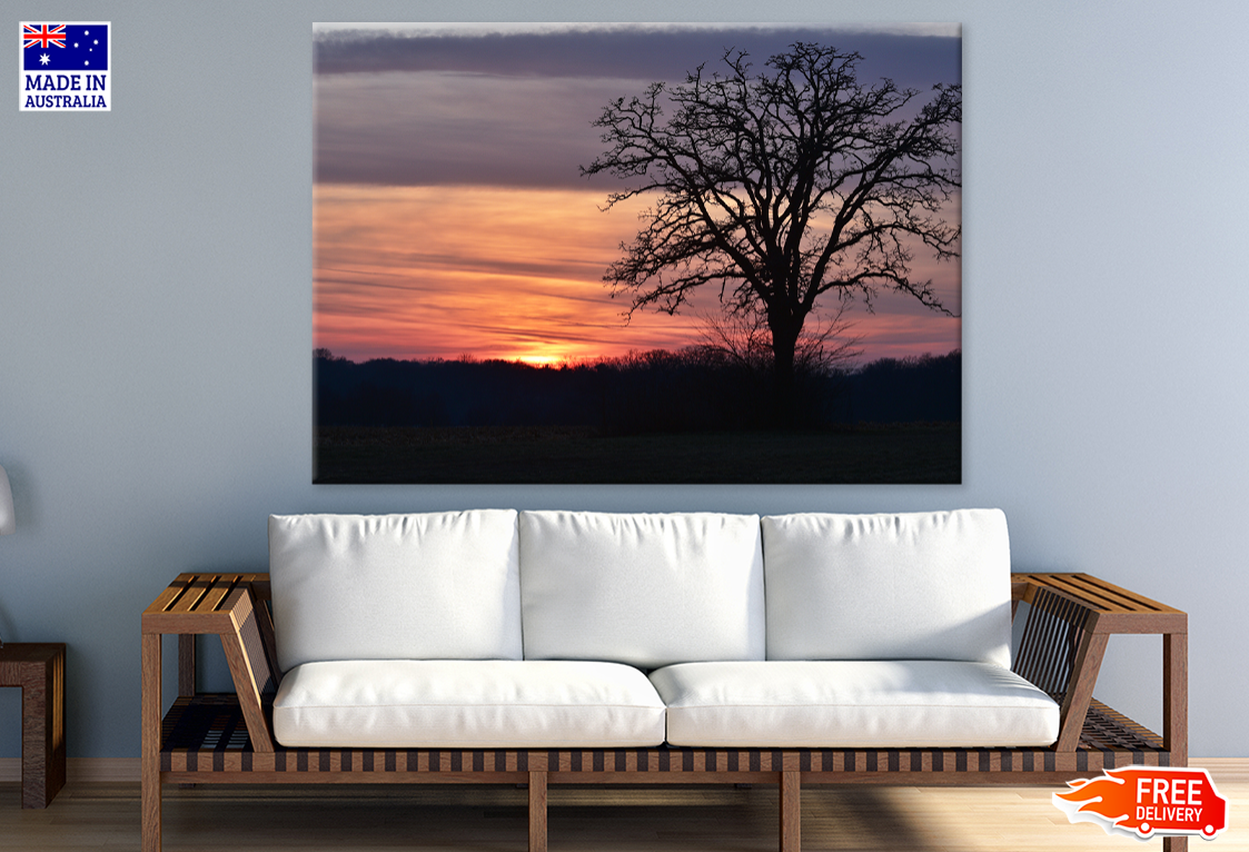 Trees & Forest Sunset Scenery Print 100% Australian Made