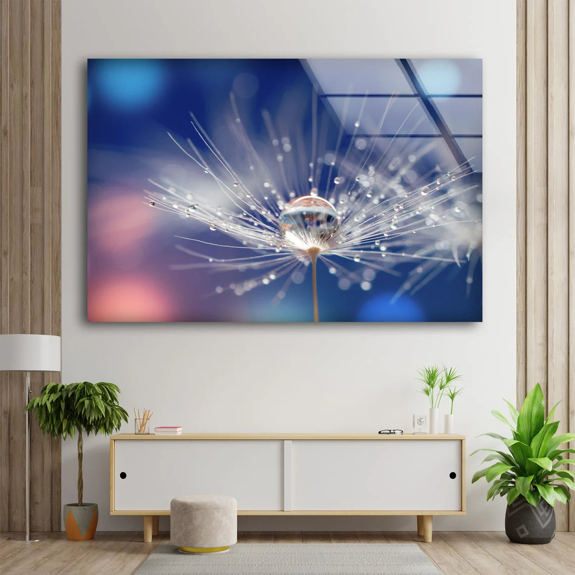 Water Drops on Dandelion Flowers Photograph Acrylic Glass Print Tempered Glass Wall Art 100% Made in Australia Ready to Hang