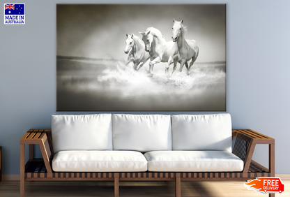 Horses Running Across a Water Stream Photograph Print 100% Australian Made