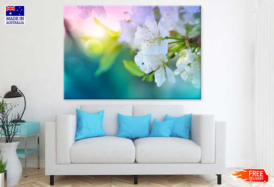 Butterfly on Daisy Flower Field Photograph Print 100% Australian Made