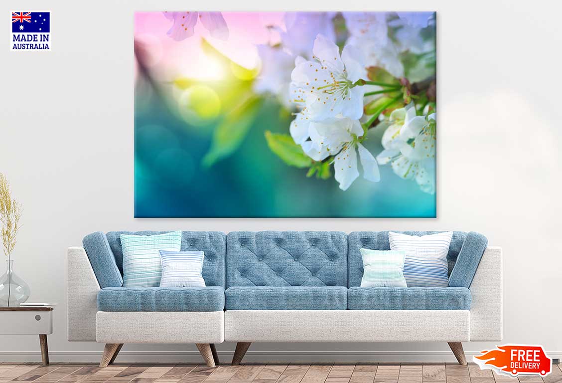 Butterfly on Daisy Flower Field Photograph Print 100% Australian Made