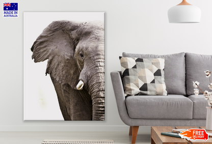 B&W Elephant Portrait Photograph Print 100% Australian Made