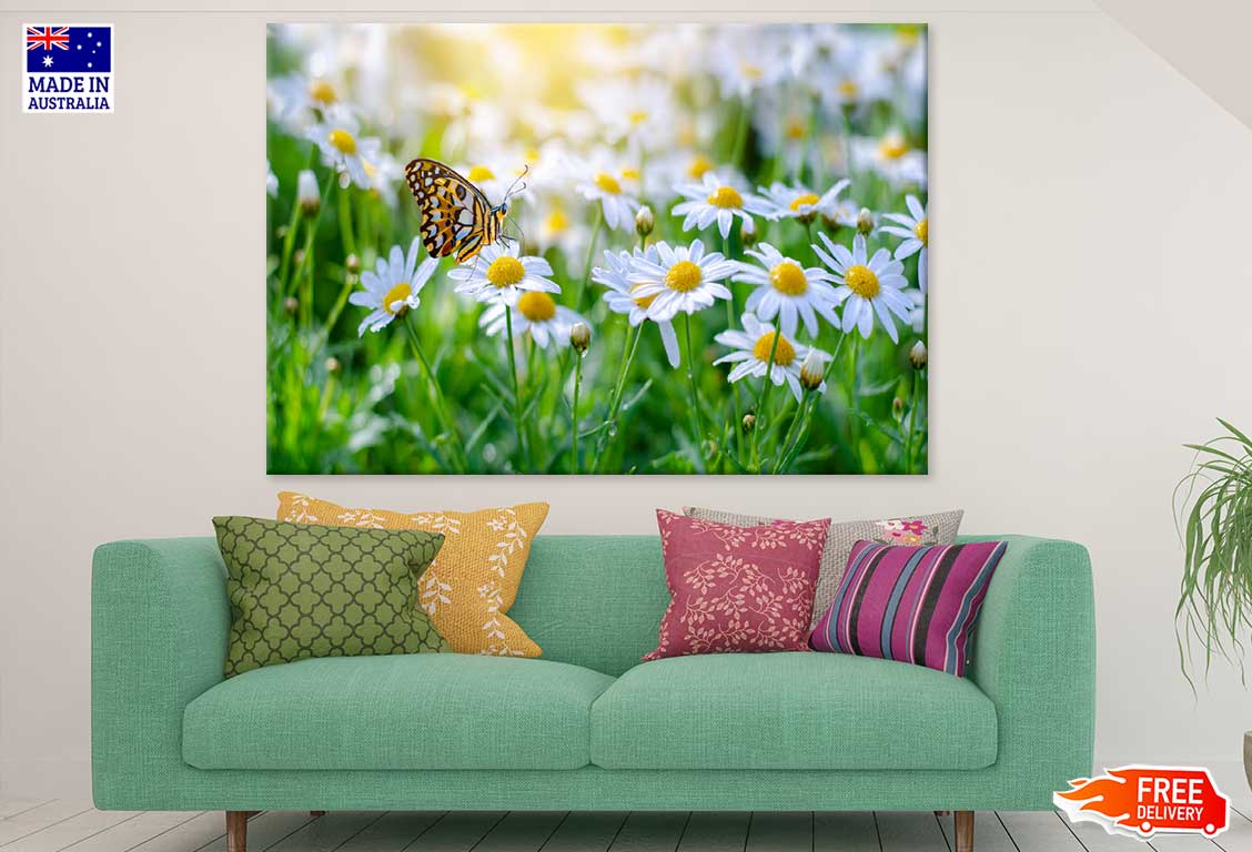 White Blossom Flower Closeup View Photograph Print 100% Australian Made