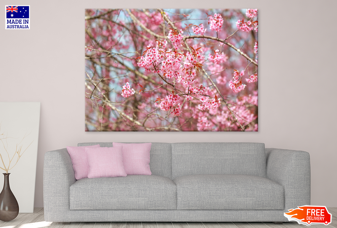 Blossom Flowers On Tree Closeup Photograph Print 100% Australian Made