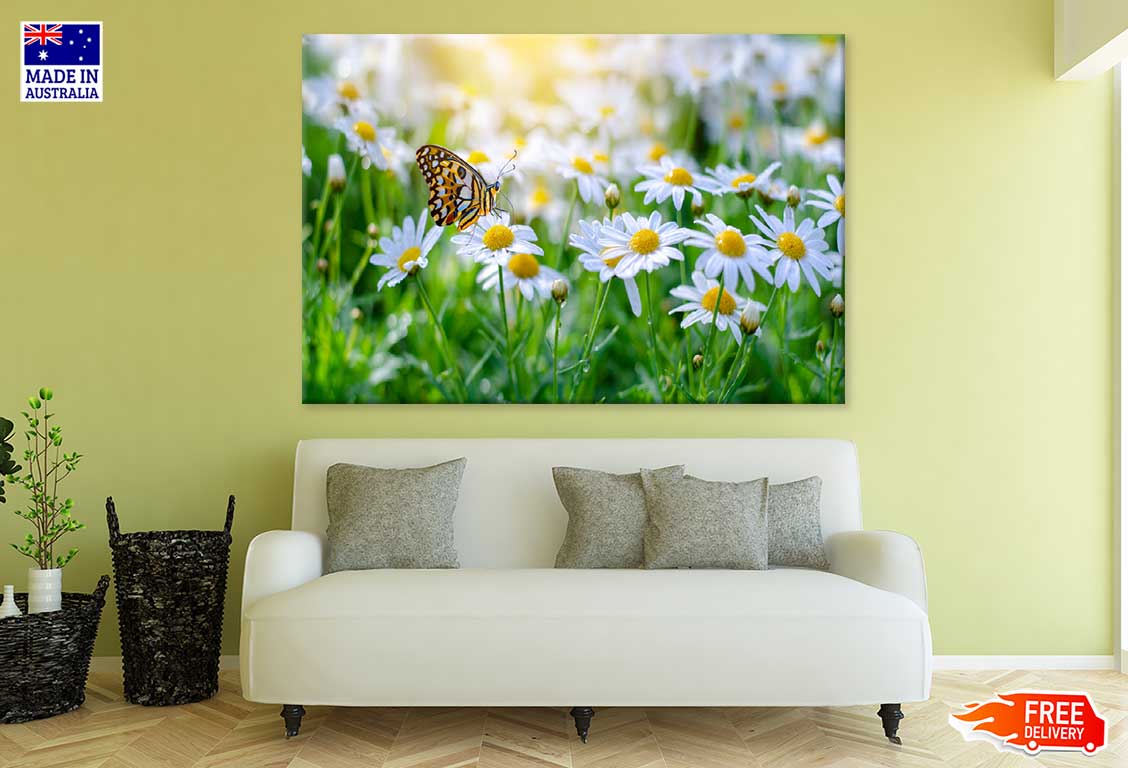 White Blossom Flower Closeup View Photograph Print 100% Australian Made