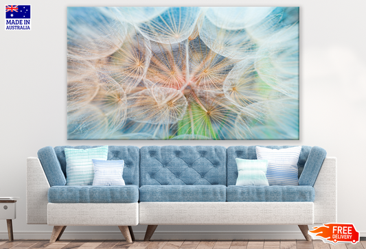 Dandelion Flowers Closeup Photograph Print 100% Australian Made