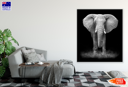 Elephant Walking B&W Photograph Print 100% Australian Made