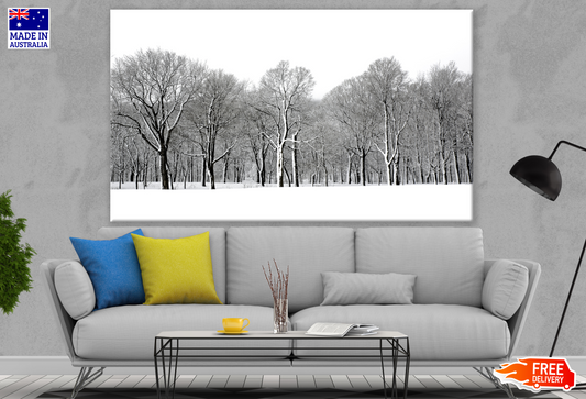 Trees Covered With Snow Photograph Print 100% Australian Made