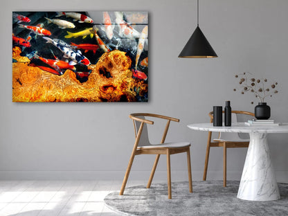 Koi Fish & Table Photograph Acrylic Glass Print Tempered Glass Wall Art 100% Made in Australia Ready to Hang