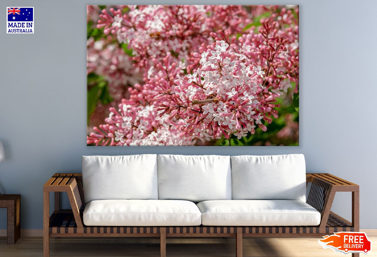 White & Pink Lilac Flowers Photograph Print 100% Australian Made