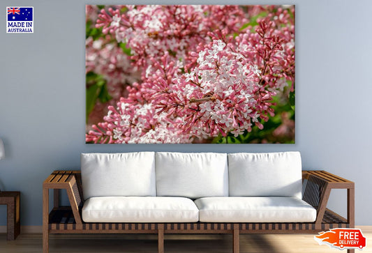 White & Pink Lilac Flowers Photograph Print 100% Australian Made
