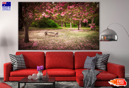 Bench Under Cherry Blossom Trees Floral Rain Photograph Print 100% Australian Made