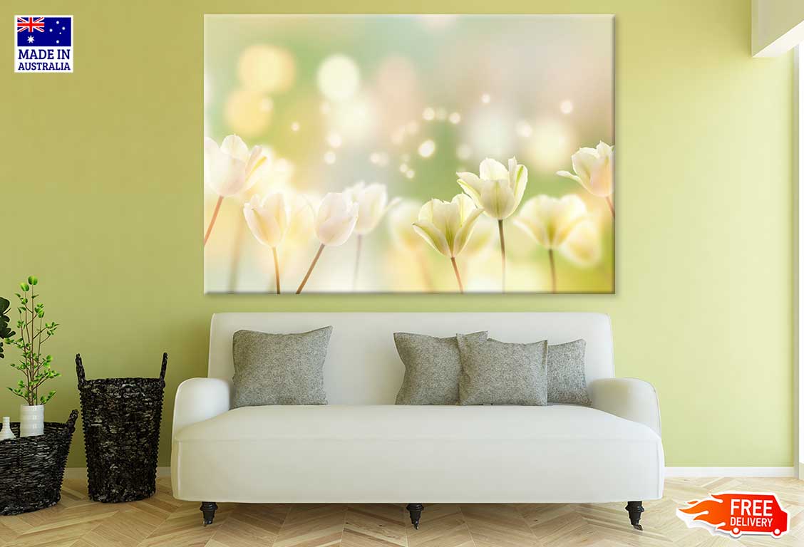 White Crocus Plant Flowers View Photograph Print 100% Australian Made