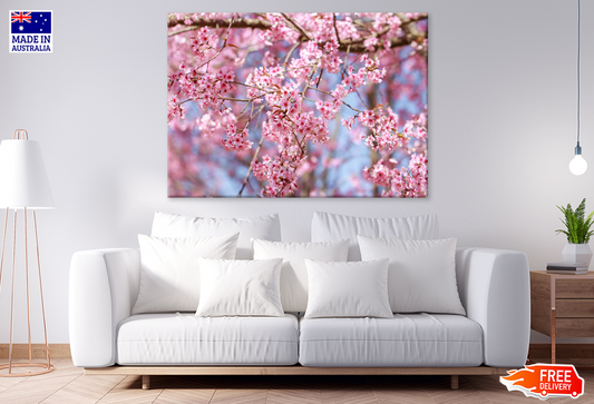 Blossom Flowers Closeup Photograph Print 100% Australian Made