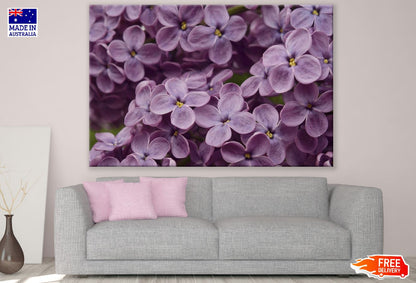 Light Purple Lilac Flowers Photograph Print 100% Australian Made