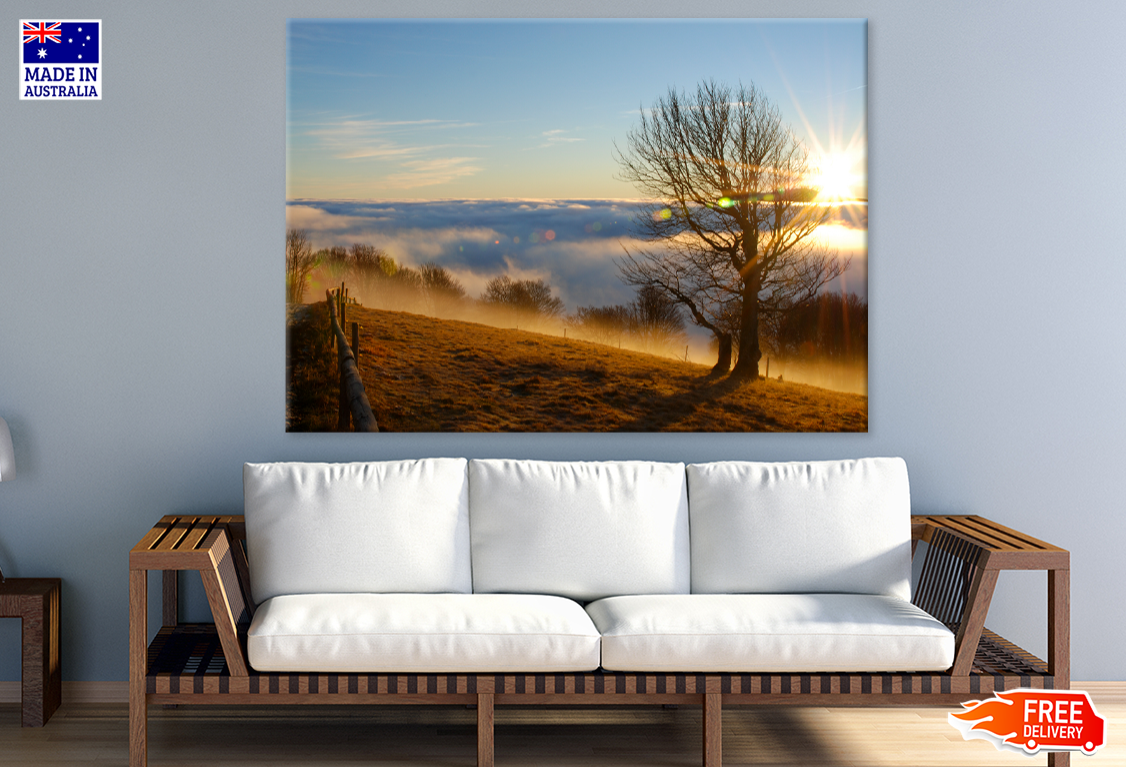 Misty Forest & Sunset Scenery Print 100% Australian Made