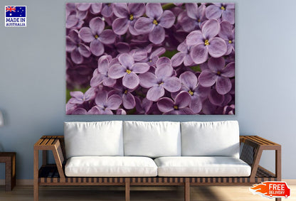 Light Purple Lilac Flowers Photograph Print 100% Australian Made
