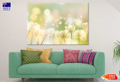 White Crocus Plant Flowers View Photograph Print 100% Australian Made