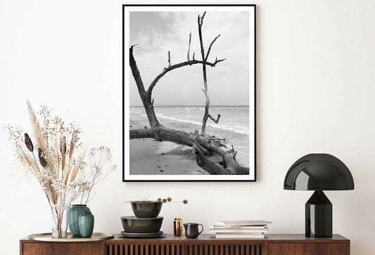 Fallen Tree Trunk on Island B&W View Home Decor Premium Quality Poster Print Choose Your Sizes