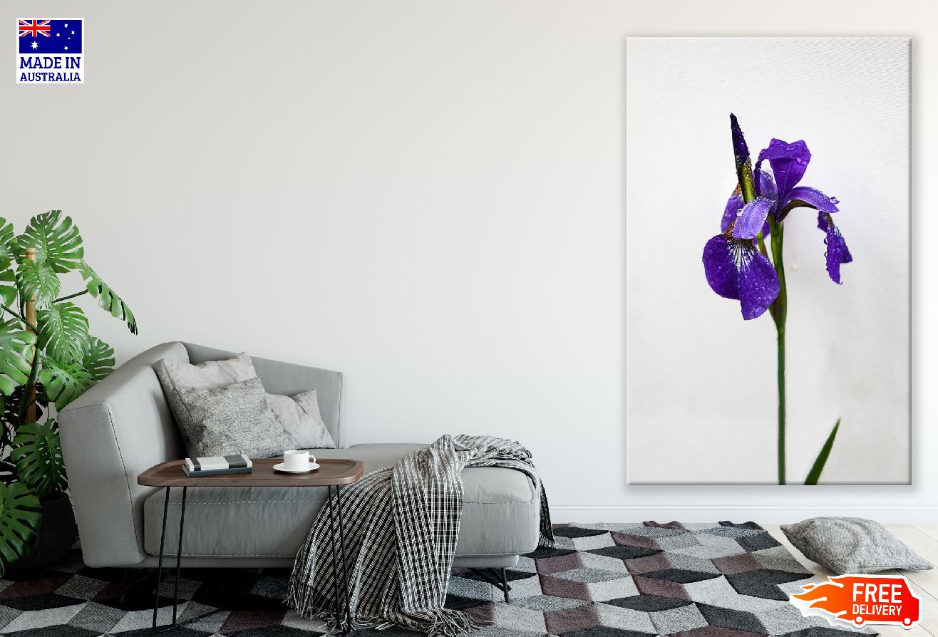 Blue Iris Flower Closeup Photograph Print 100% Australian Made