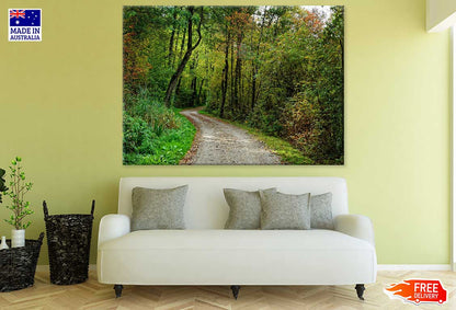 Road in Colorful Forest Photograph Print 100% Australian Made