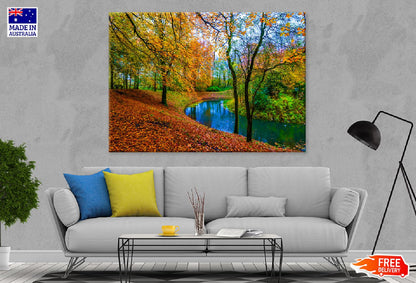 River in Autumn Tree Forest View Photograph Print 100% Australian Made