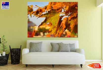 Autumn Leaves Closeup Photograph Print 100% Australian Made