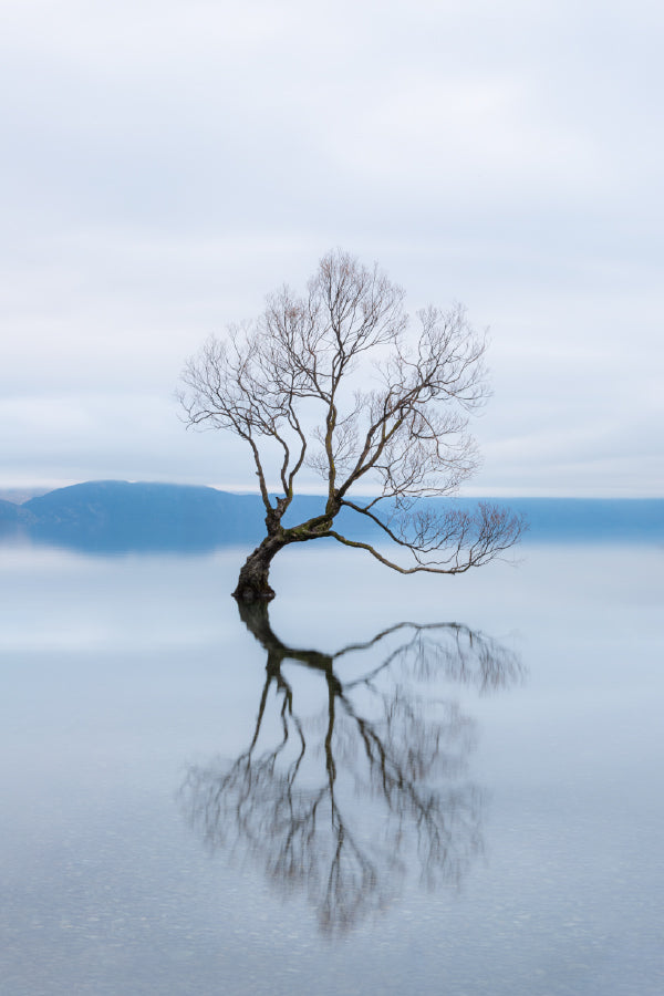 Wanaka Tree in Lake Photograph New Zealand Home Decor Premium Quality Poster Print Choose Your Sizes