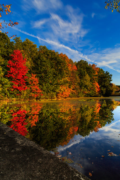 Red Green Autumn Trees with Lake Photograph Print 100% Australian Made