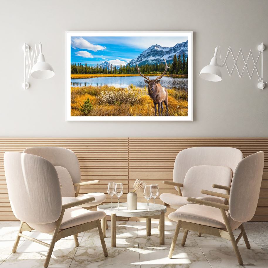 Deer Near Lake Forest Scenery Home Decor Premium Quality Poster Print Choose Your Sizes
