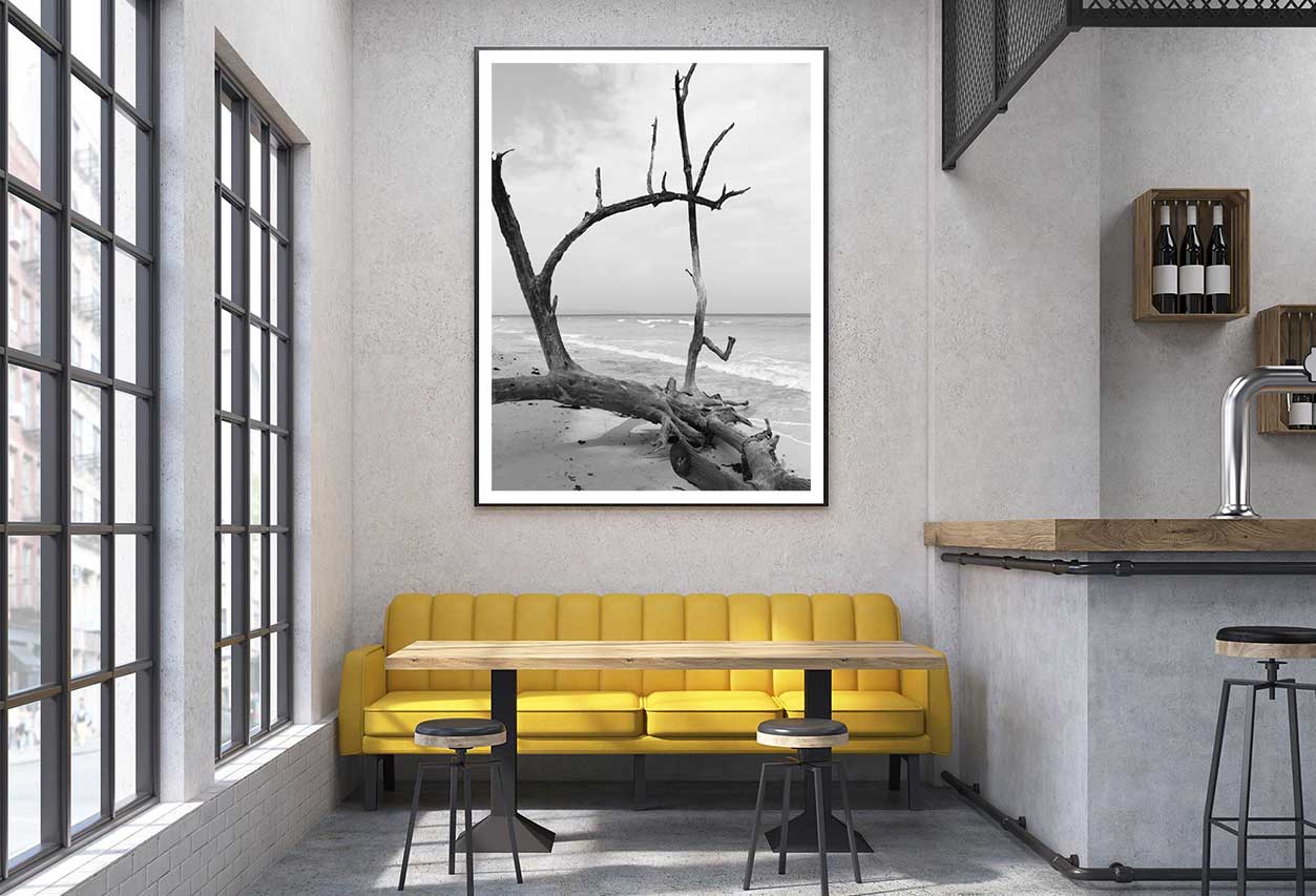 Fallen Tree Trunk on Island B&W View Home Decor Premium Quality Poster Print Choose Your Sizes