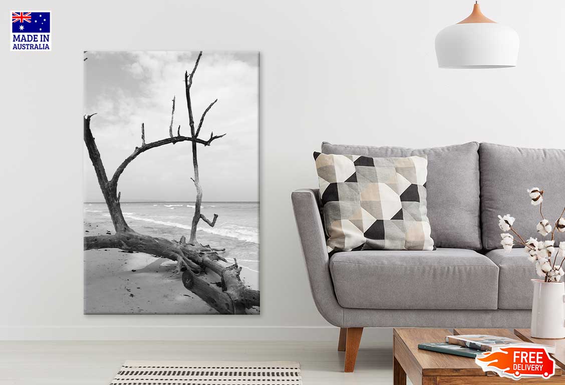 Fallen Tree Trunk on Island B&W Photograph Print 100% Australian Made