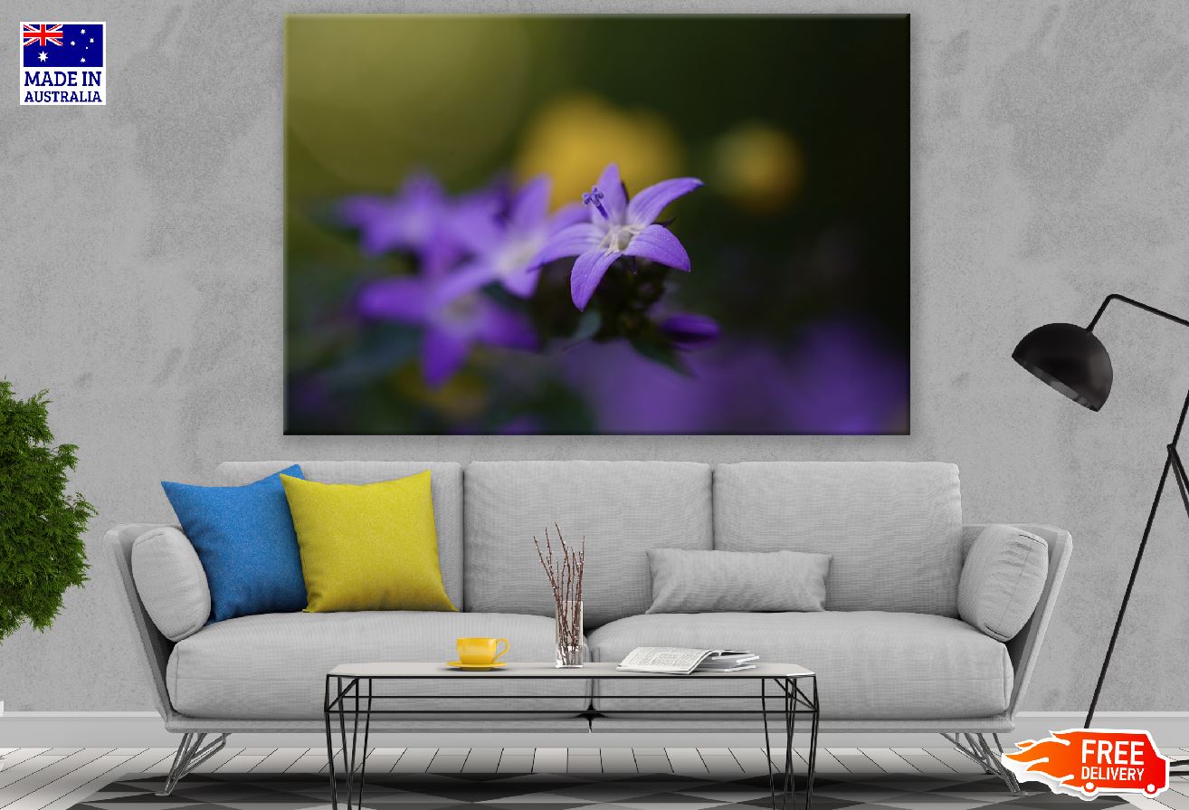 Purple Blossom Flower Closeup Photograph Print 100% Australian Made