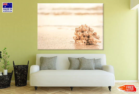 Sea Shell on Beach Closeup View Photograph Print 100% Australian Made