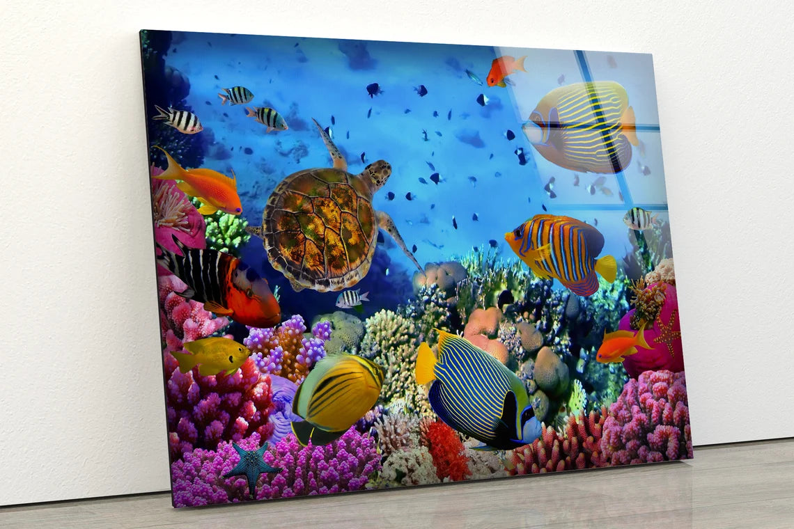 Under Water Fish & Corals Photograph Acrylic Glass Print Tempered Glass Wall Art 100% Made in Australia Ready to Hang