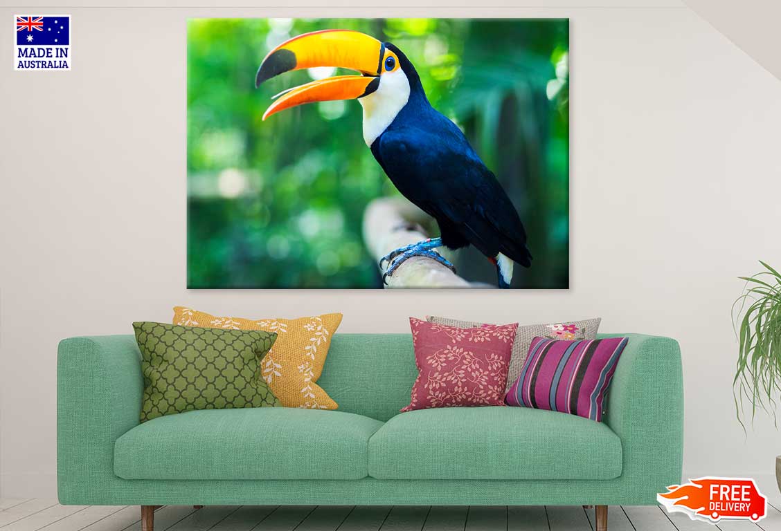 Toucan Bird View Photograph Print 100% Australian Made