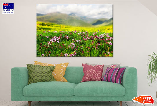 Plant Alpine Meadow Pyrenees View Photograph Print 100% Australian Made