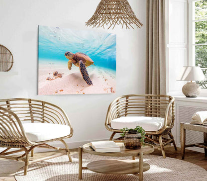 Bella Home Hawaiian Turtle Under Water Print Canvas Ready to hang