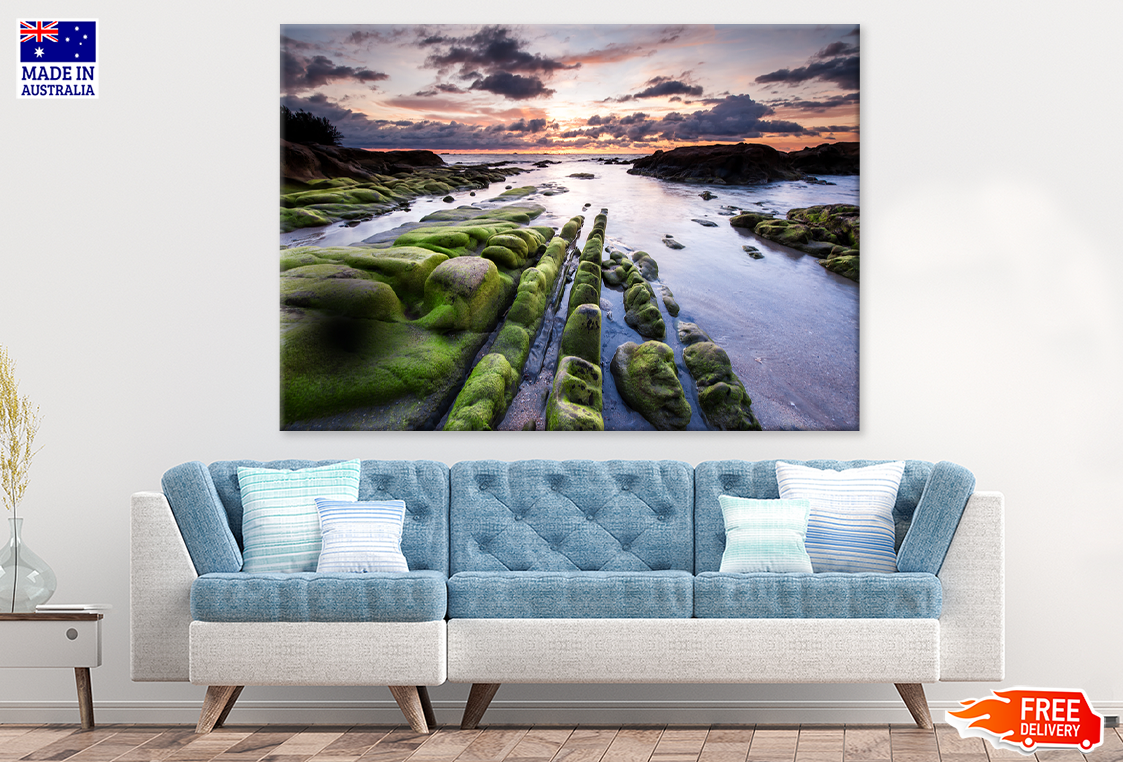 Trees With Rock Mountain & Sea View Print 100% Australian Made
