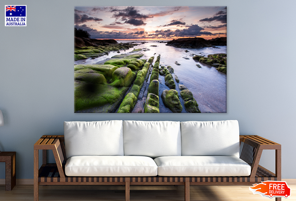 Trees With Rock Mountain & Sea View Print 100% Australian Made