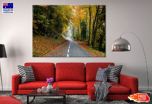 Autumn Forest Road Scenery View Photograph Print 100% Australian Made